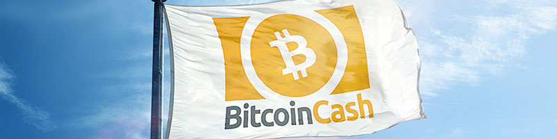 Bitcoin Cash (BCH) trading